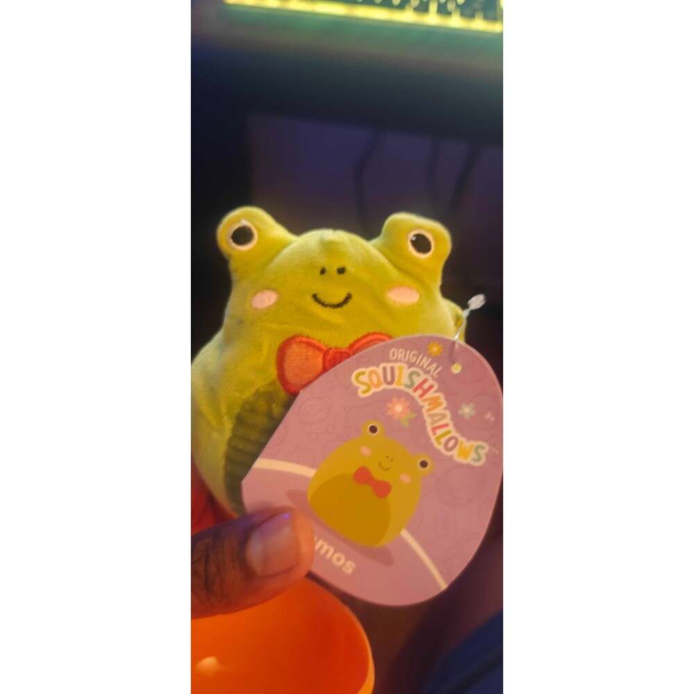 4" Tomos Frog Squishmallow